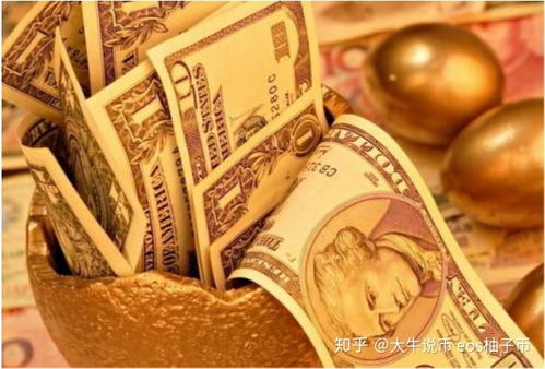HAMS币交易所有哪些