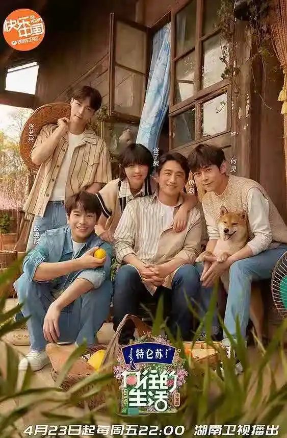 张柏芝的影视作品中的人生哲学_张柏芝的影视作品中的人生哲学_张柏芝的影视作品中的人生哲学