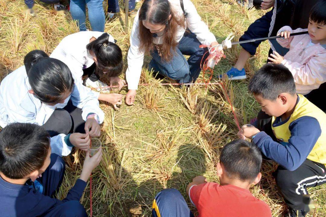 亮点：丰富的研究和教育资源_南海资源有多丰富_丰富创意资源及图文库