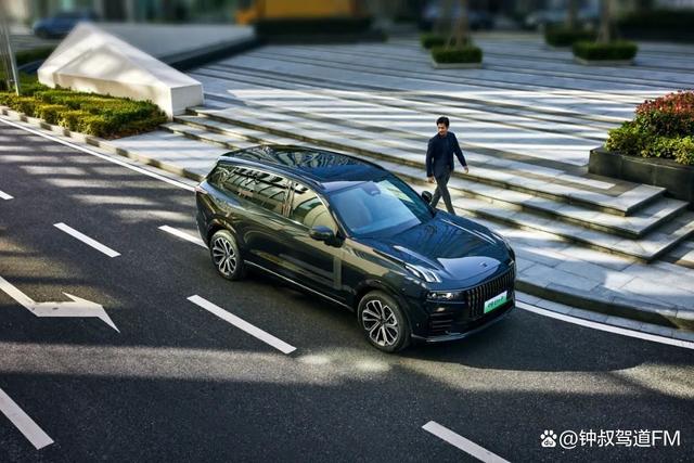 聚焦家庭出行本质需求，30万级家用中大型SUV该怎么选？-有驾