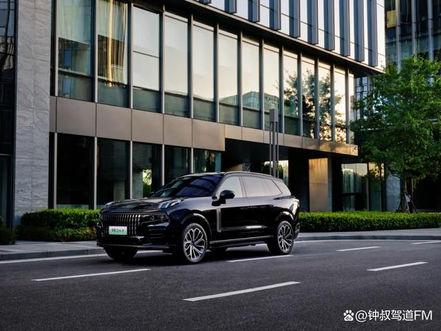 聚焦家庭出行本质需求，30万级家用中大型SUV该怎么选？-有驾