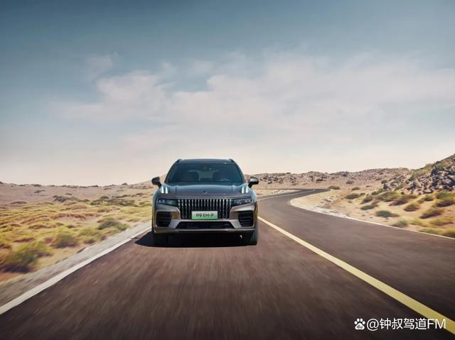 聚焦家庭出行本质需求，30万级家用中大型SUV该怎么选？-有驾