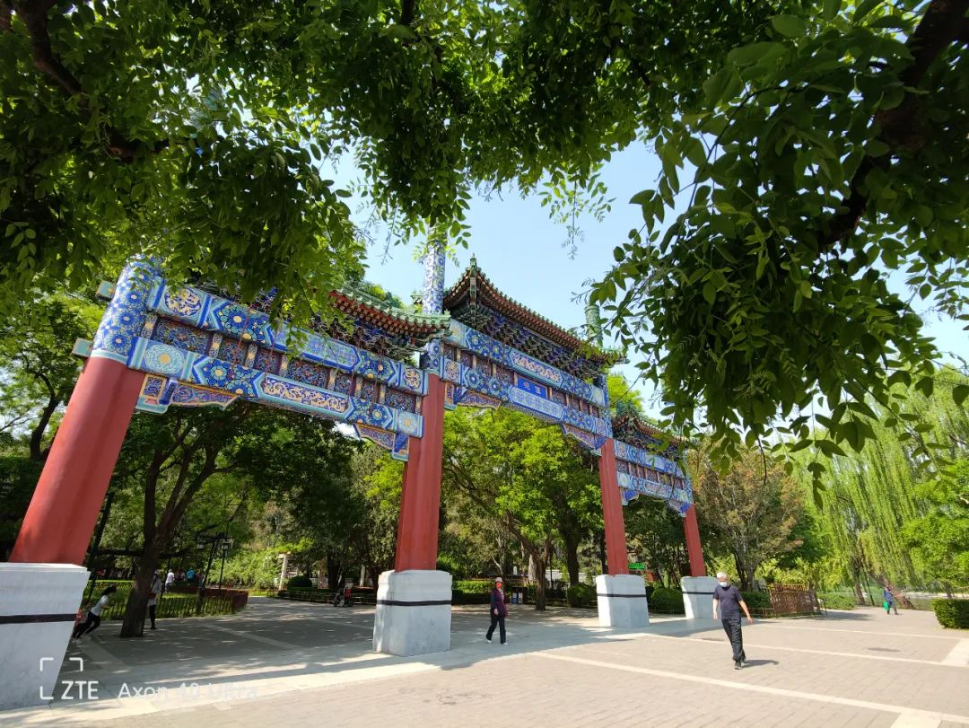 中兴的游戏手机_中兴手机系统评测_中兴手机的游戏性能与流畅度评测